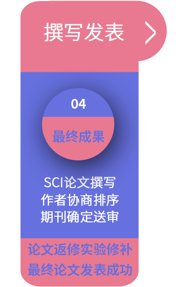 ADscisoon合作步骤4